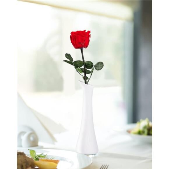 Flowers for Delivery Prime, Preserved Roses Flower Gifts for Women, Real Roses - Picture 6 of 7